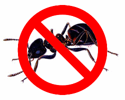 Eco-friendly ant colony control